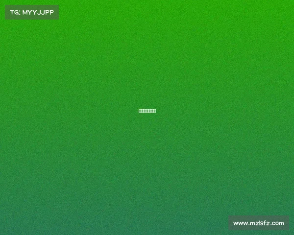 有哪些国际比赛